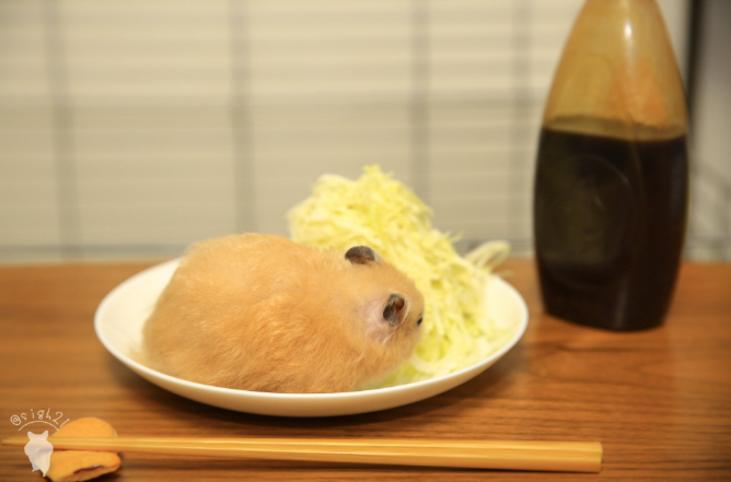 圖片來源:sigh21/twitter