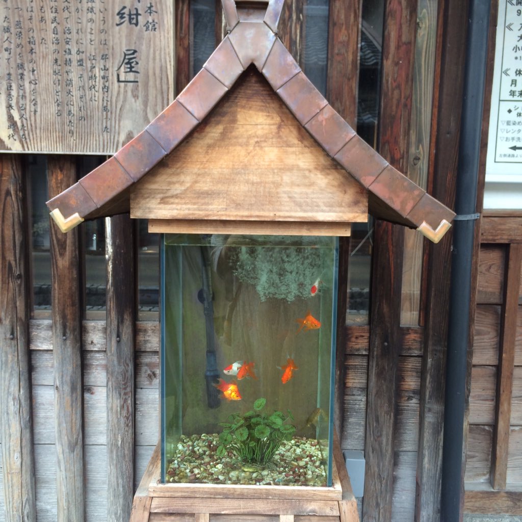 圖片來源：muchiaco／twitter