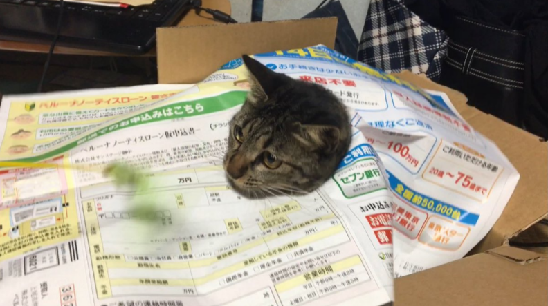圖片來源:soramoon22/twitter