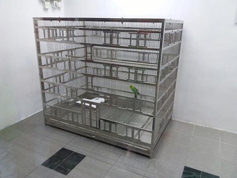 圖片來源:匿名網民