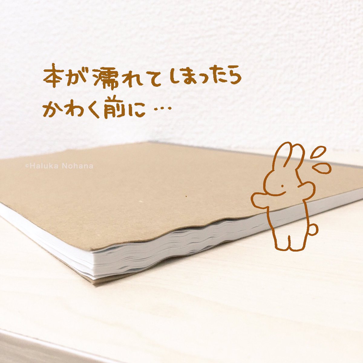 圖片來源:nohana_haluka/twitter