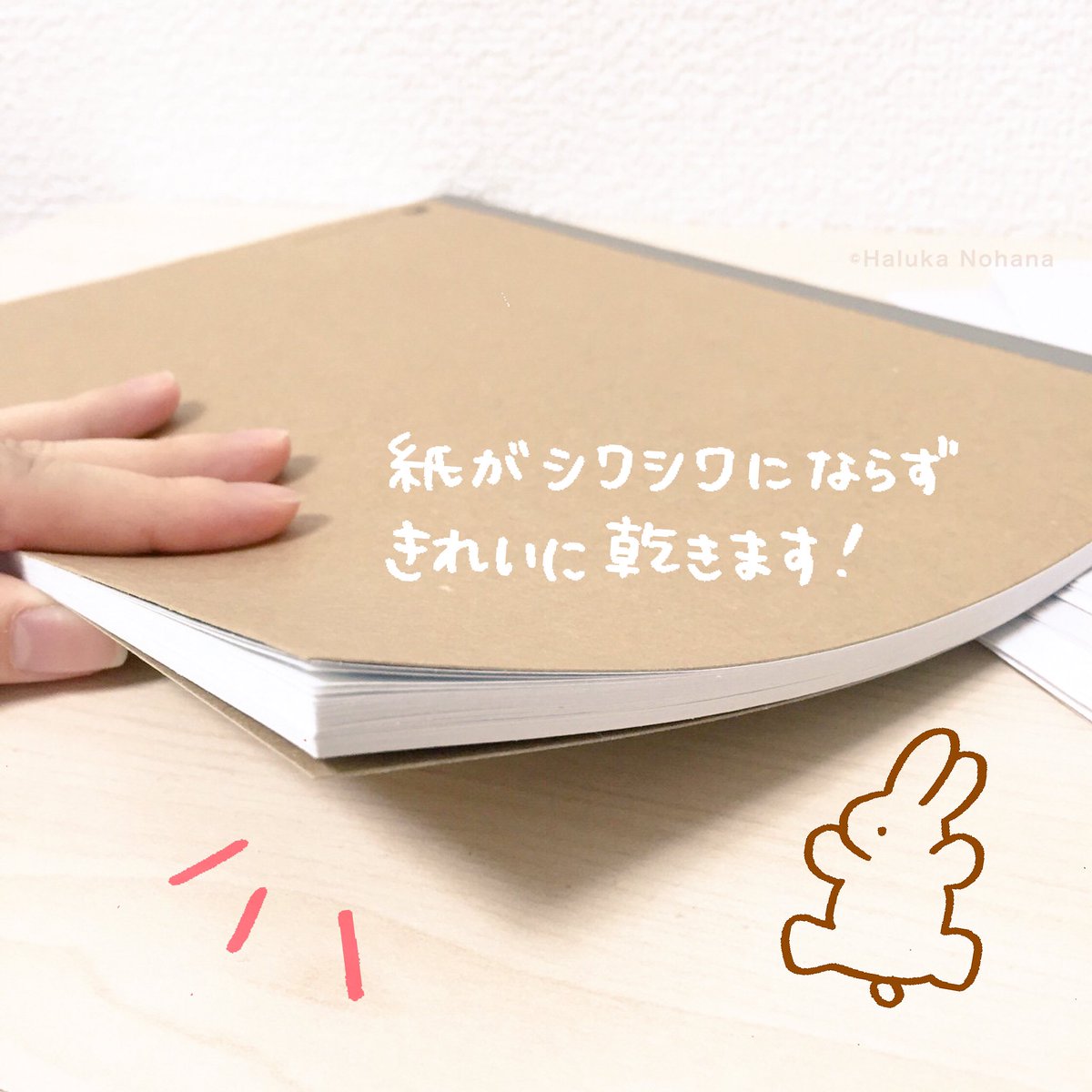 圖片來源:nohana_haluka/twitter