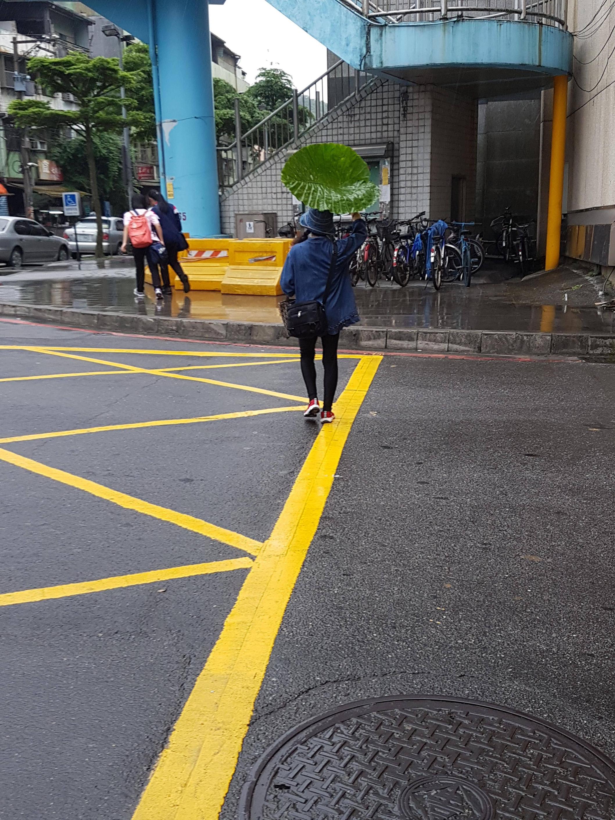 圖片來源:PTT