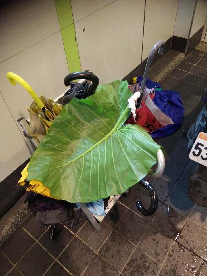 圖片來源: 張肇庭/爆廢公社