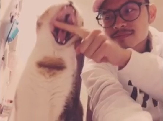 圖片來源:肚臍是隻貓
