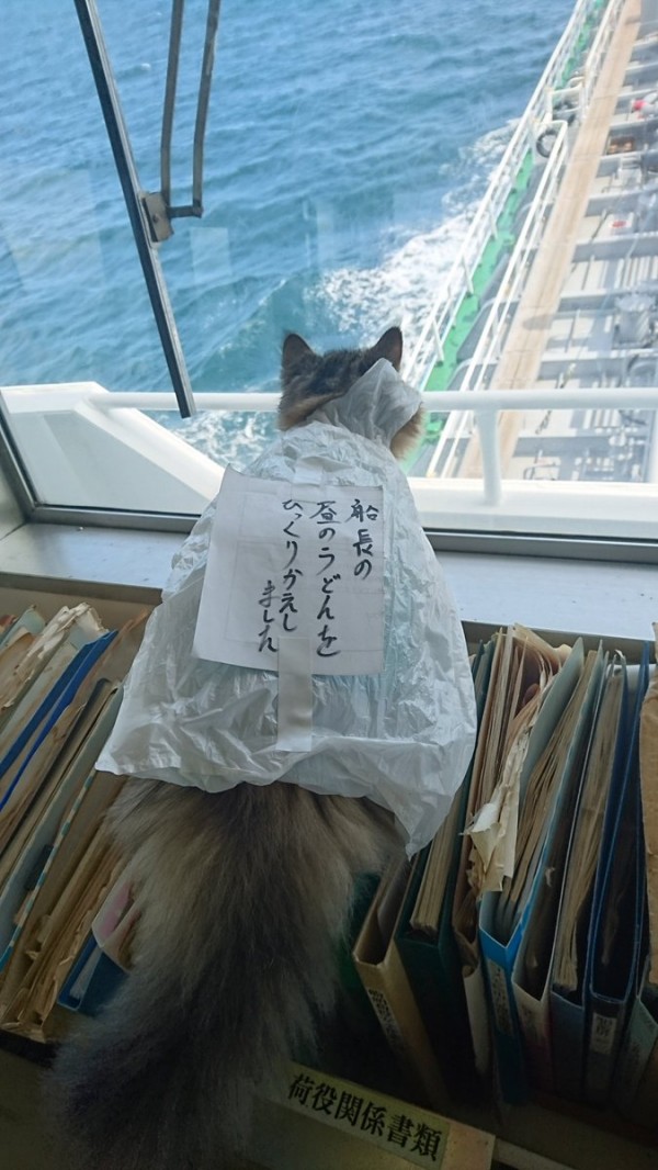 圖片來源:captainKanpachi/twitter