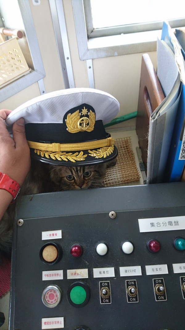 圖片來源:captainKanpachi/twitter