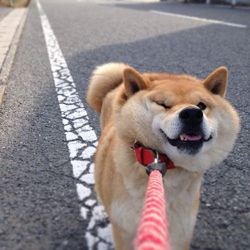 圖片來源：twitter