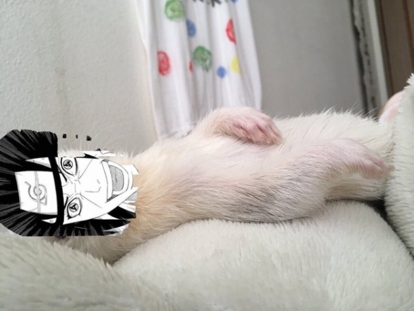 圖片來源：2ch