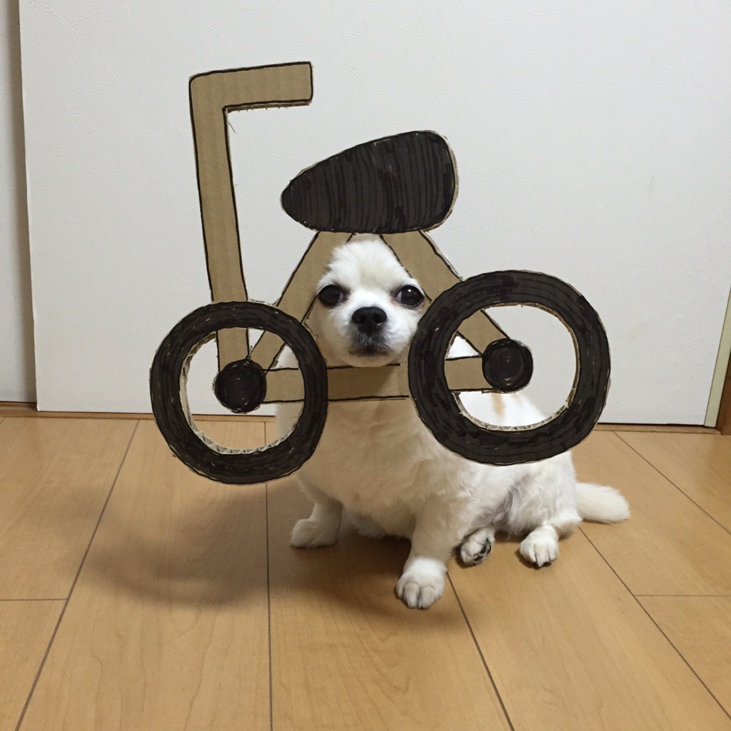圖片來源： myouonnin／twitter