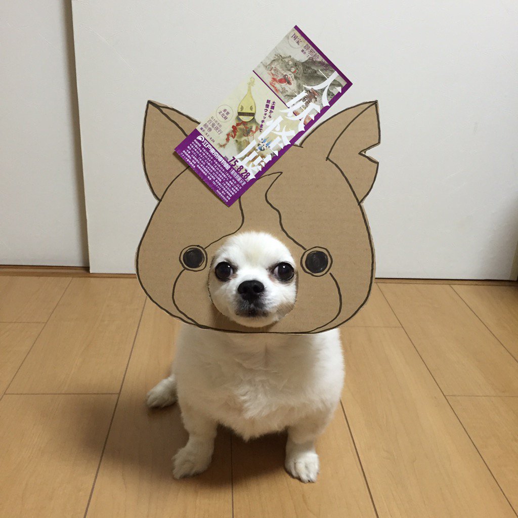 圖片來源： myouonnin／twitter