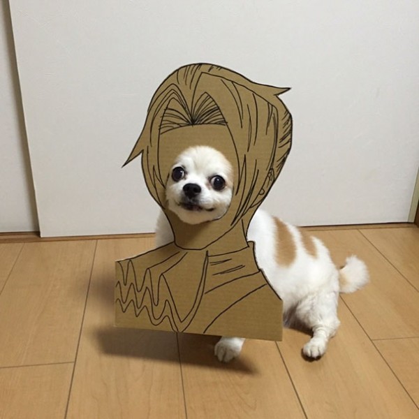 圖片來源： myouonnin／twitter