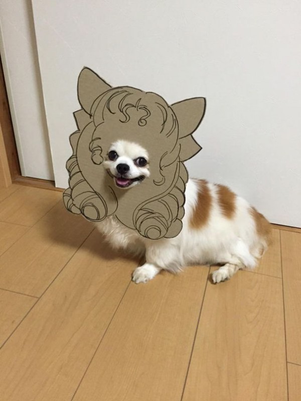 圖片來源： myouonnin／twitter