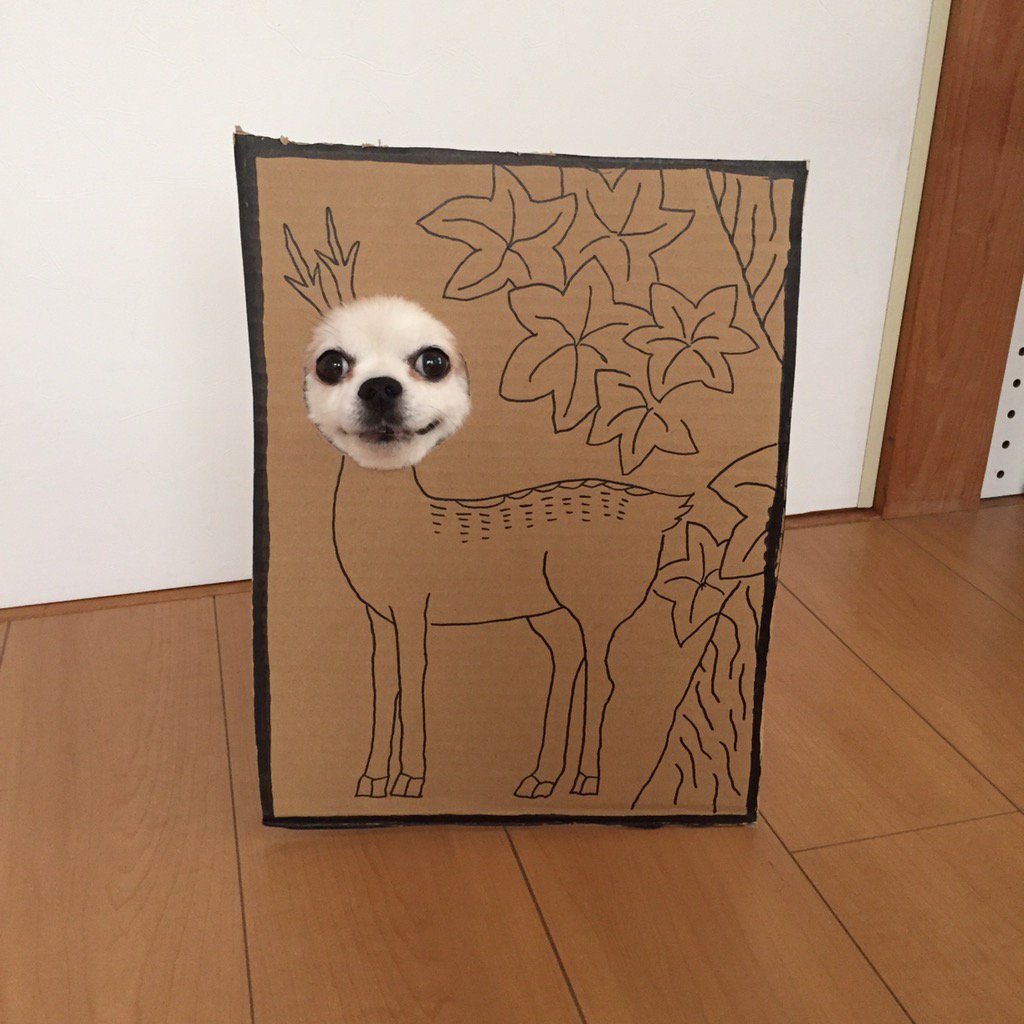 圖片來源： myouonnin／twitter