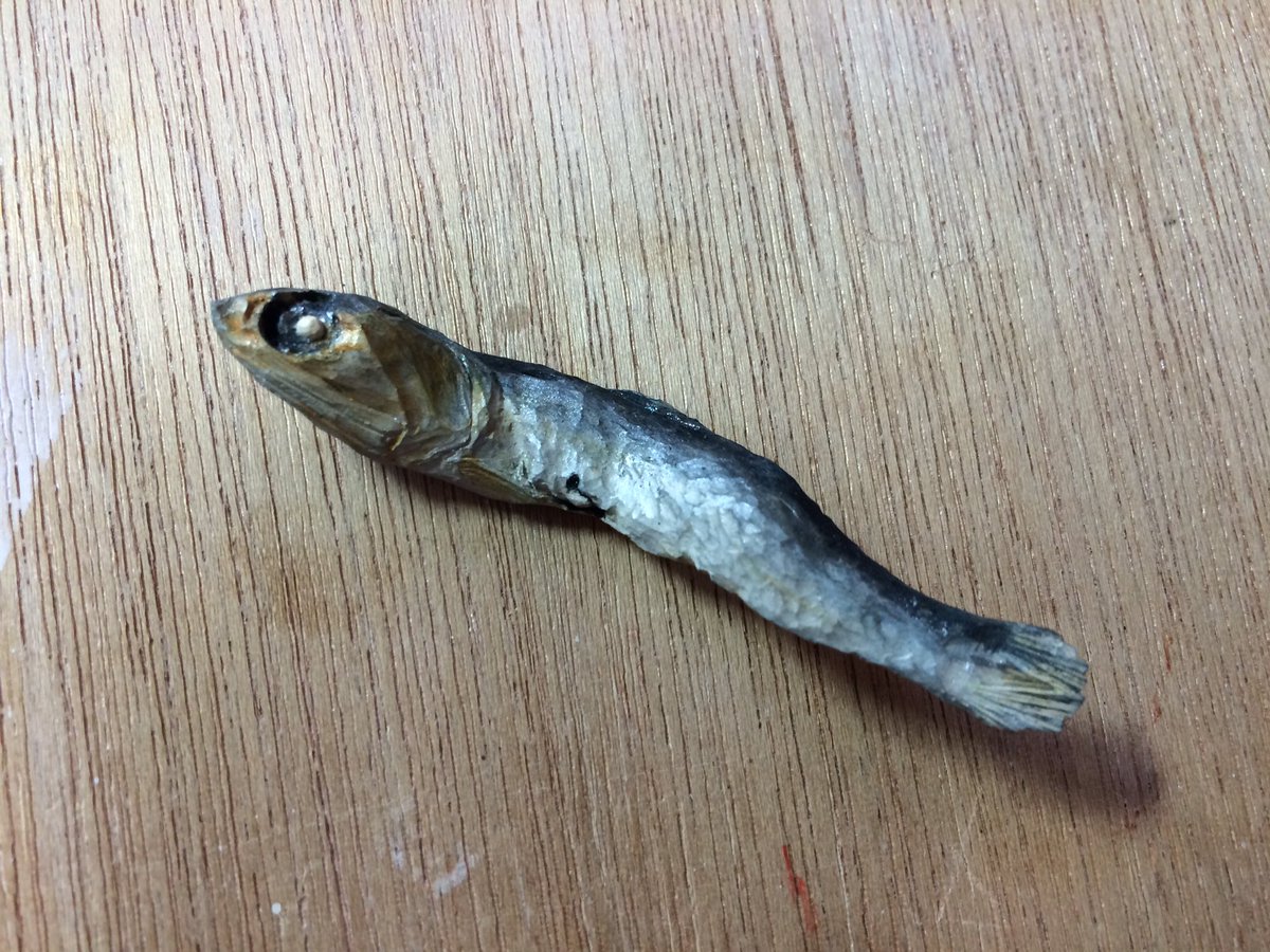 圖片來源：sawsnht／twitter