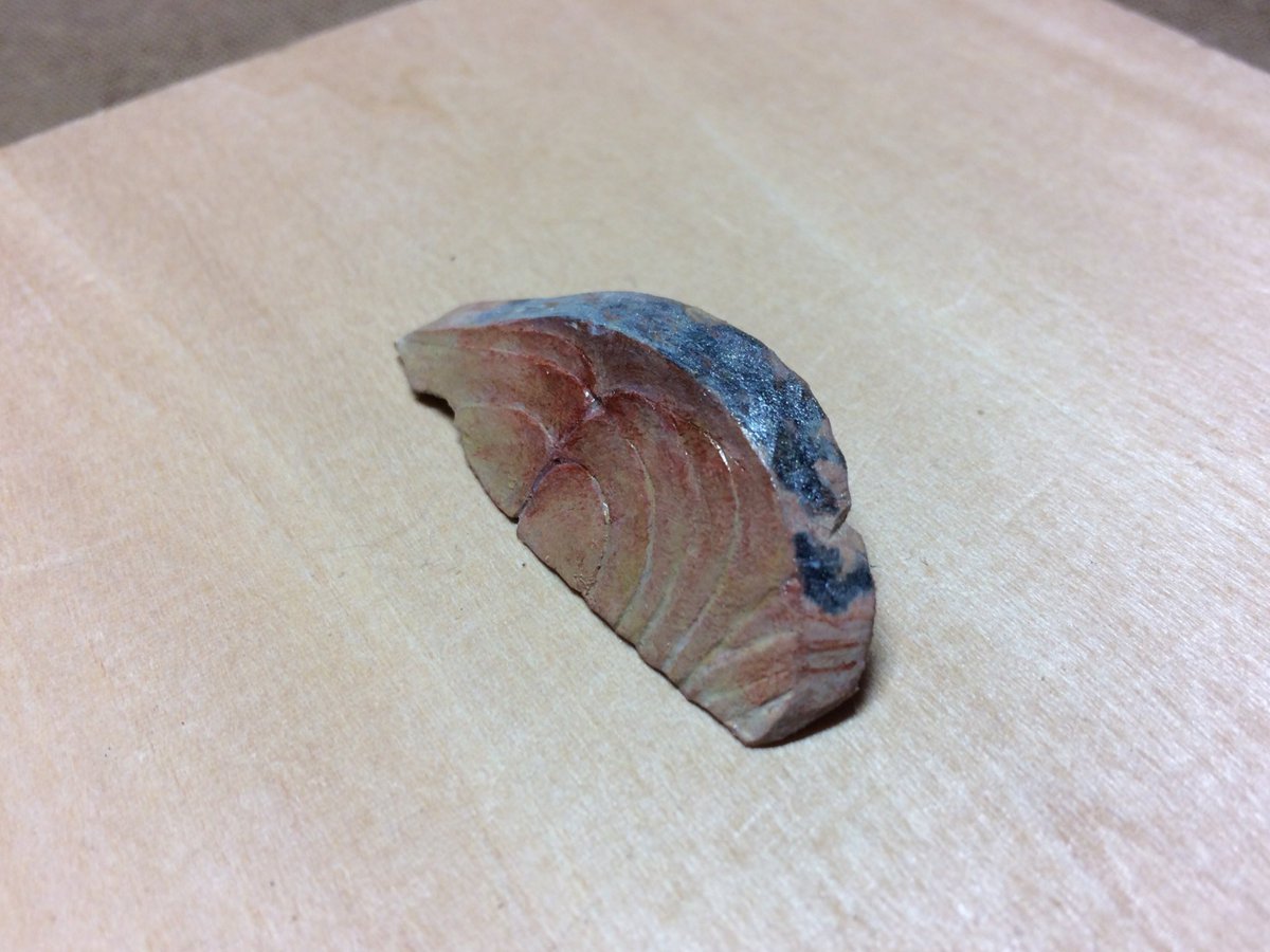 圖片來源：sawsnht／twitter