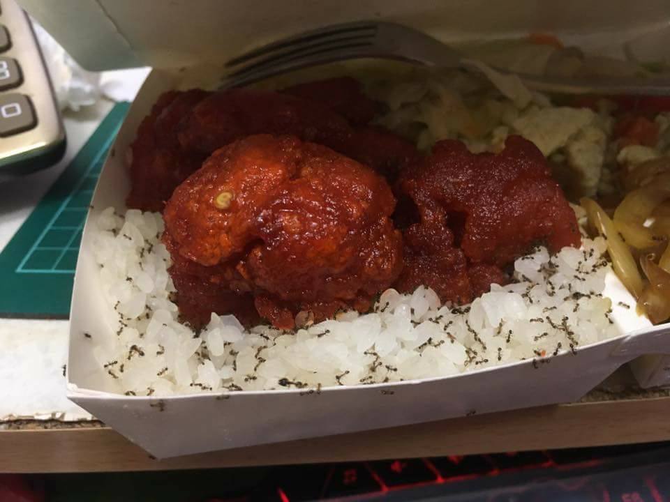 圖片來源:楊小麥