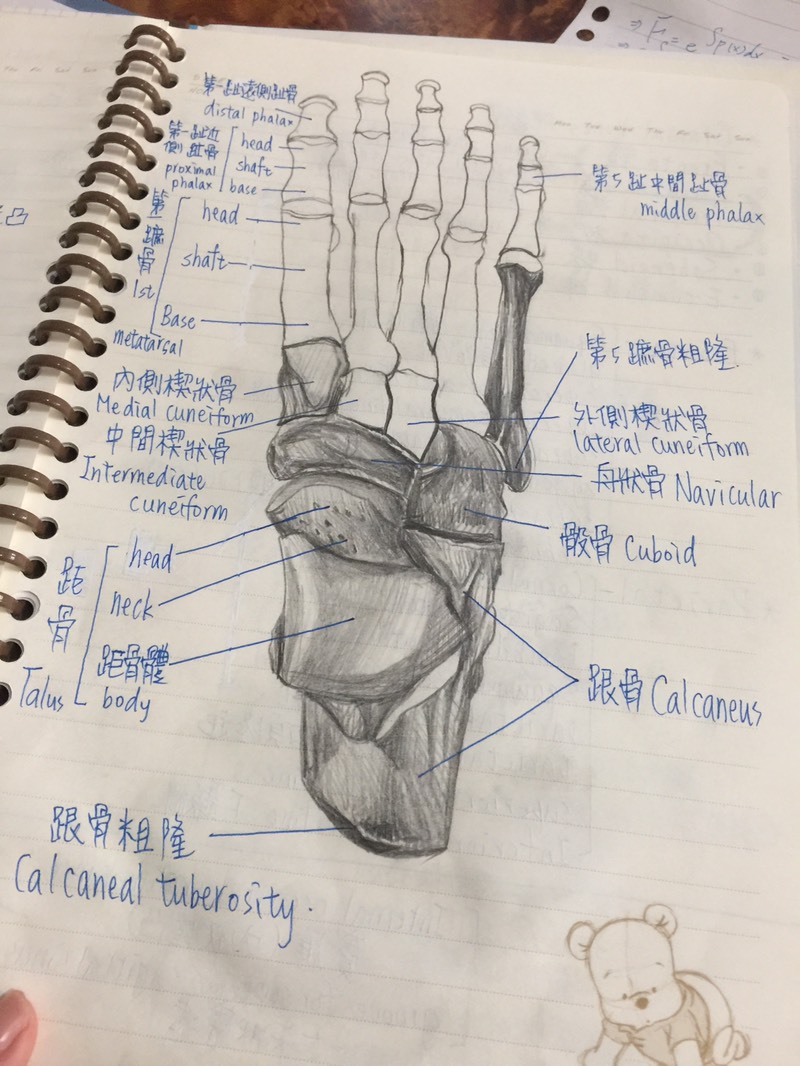 圖片來源：dcard