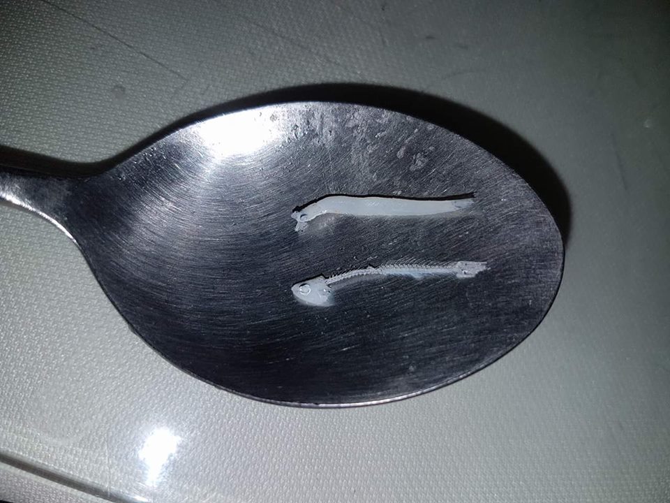圖片來源:黃咪匠