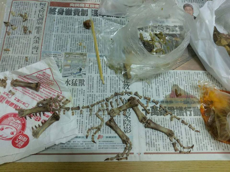 圖片來源：吳俊逸