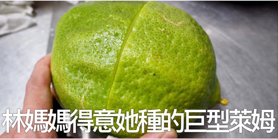 圖片來源：連環泡有芒果／Facebook