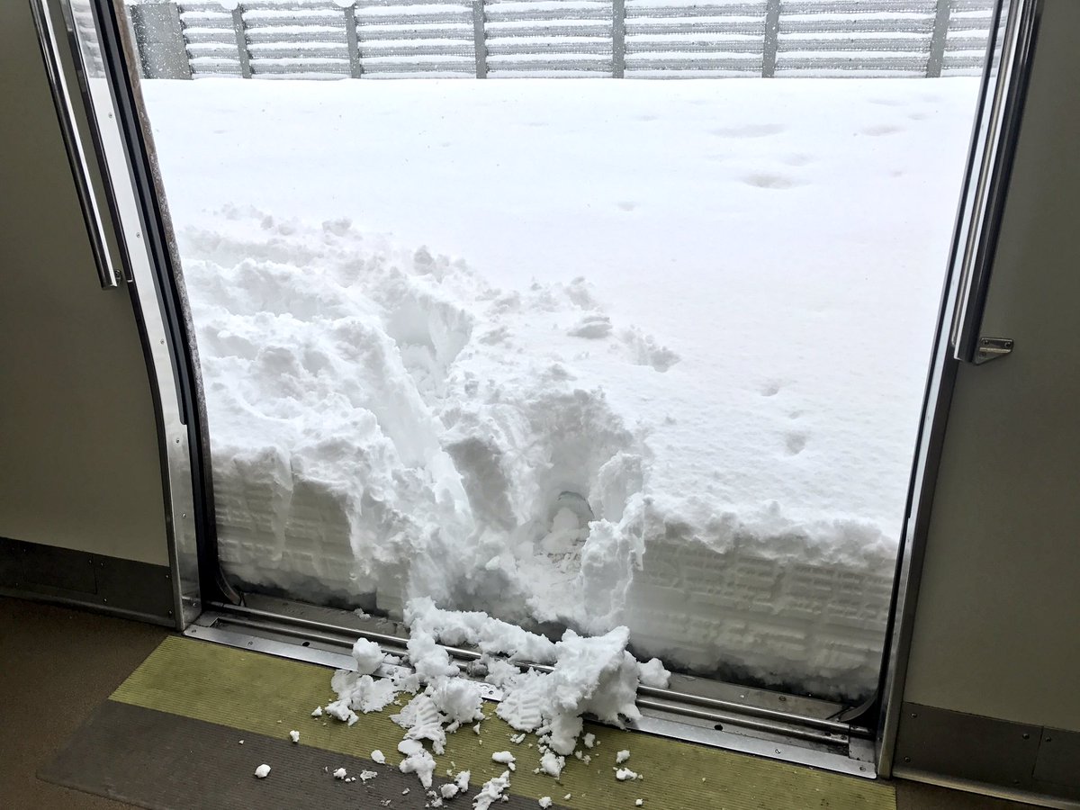 圖片來源：shinkametaro／twitter