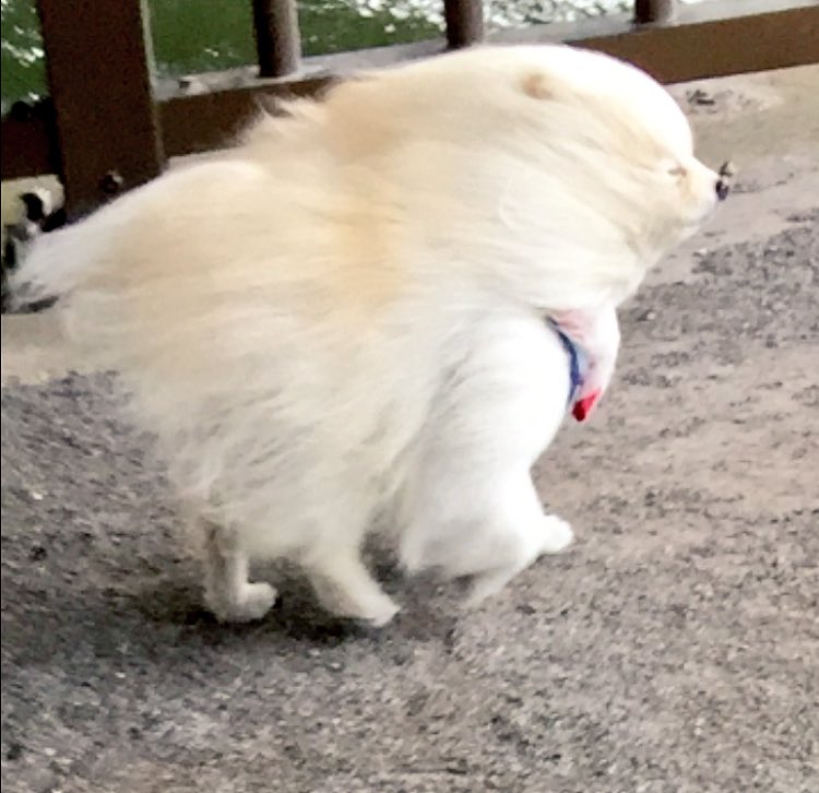 圖片來源:
