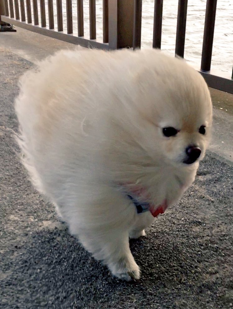 圖片來源: