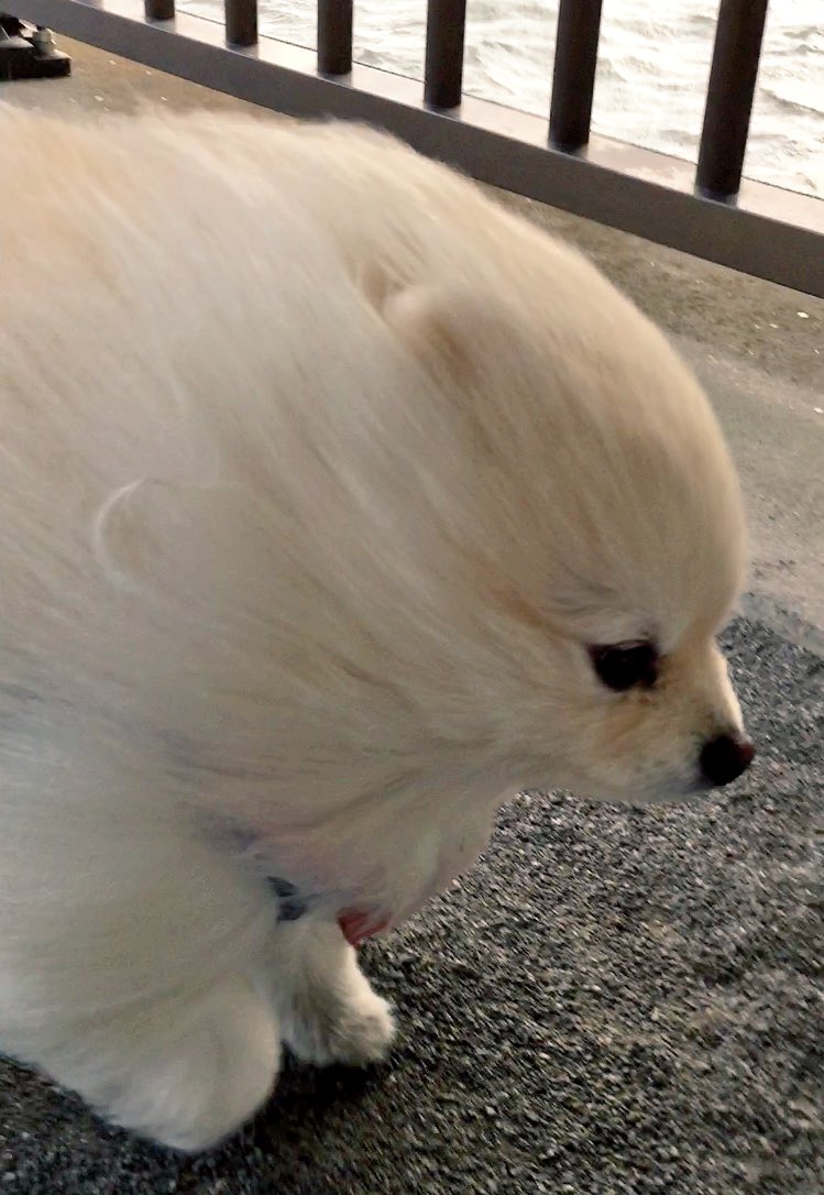 圖片來源: