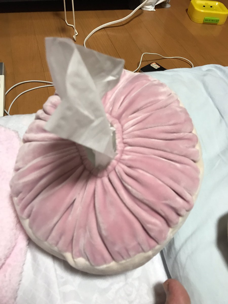 圖片來源:mokeibeya/twitter