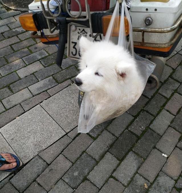 圖片來源:頭條號