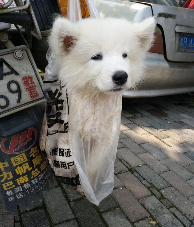 圖片來源:頭條號
