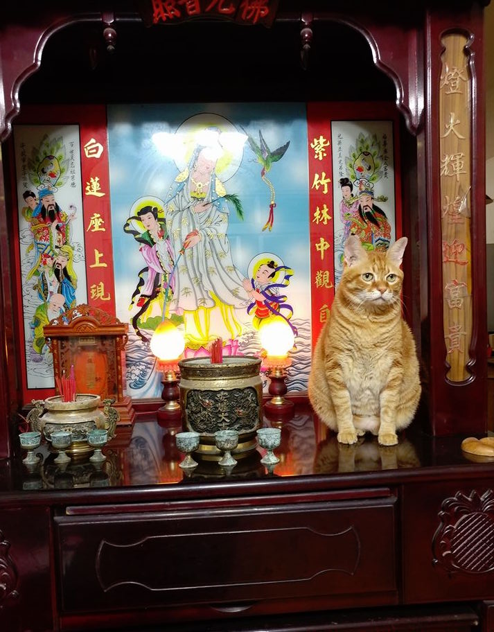 圖片來源：廖奕安