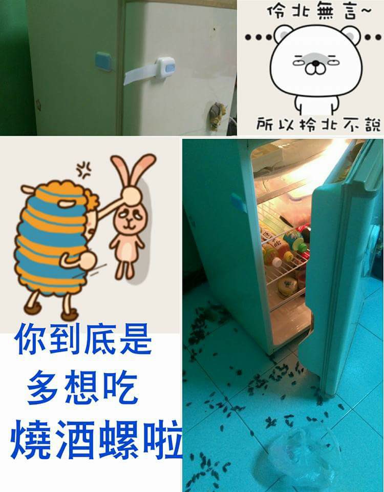 圖片來源:楊雅莉