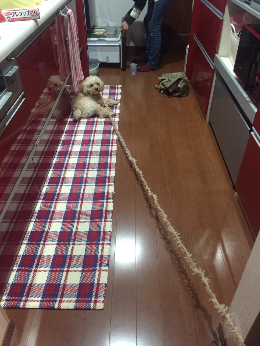 圖片來源:nana_younow/twitter