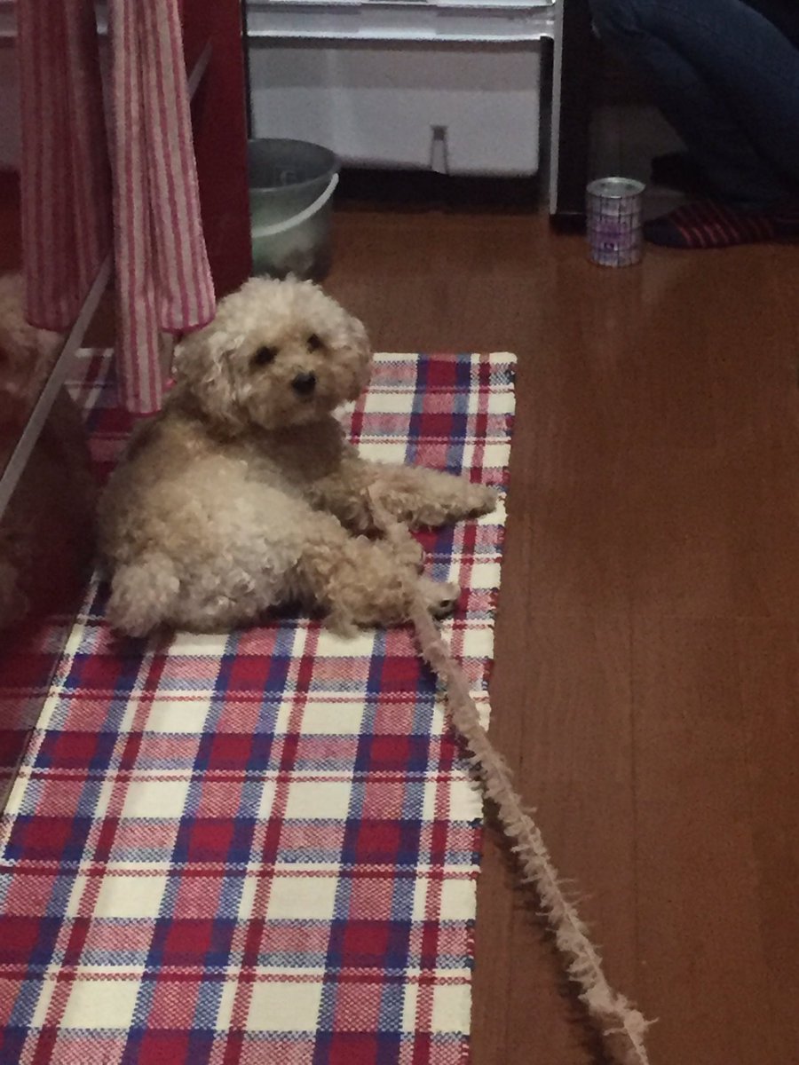 圖片來源:nana_younow/twitter