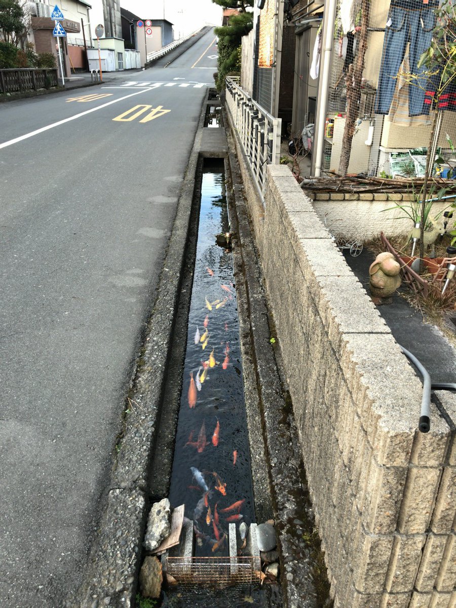 圖片來源:gooitch/twitter