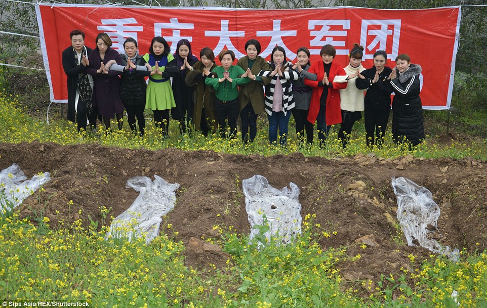 圖片來源:每日郵報