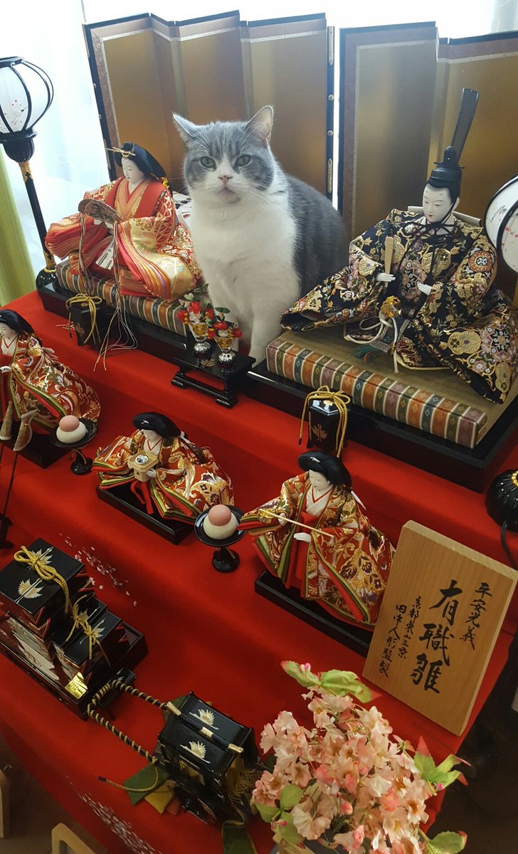圖片來源:chocolatpluie/twitter