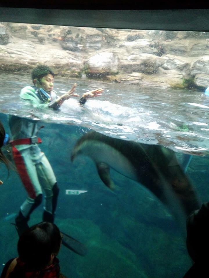 圖片來源:777orz_b/twitter