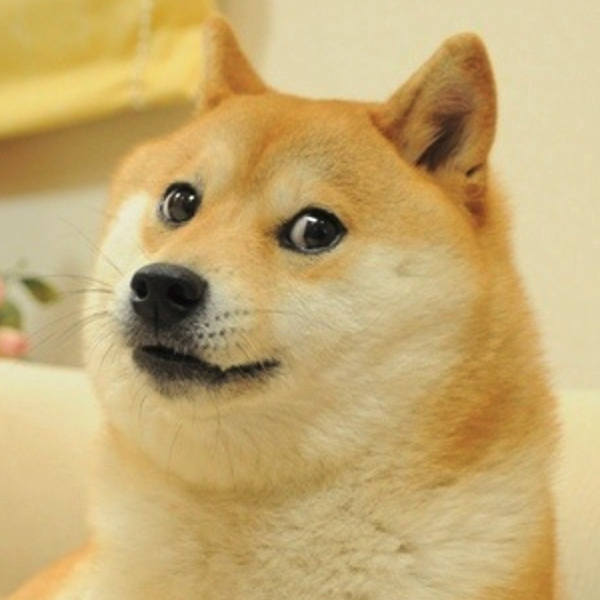 圖片來源:wowsodogewow/twitter