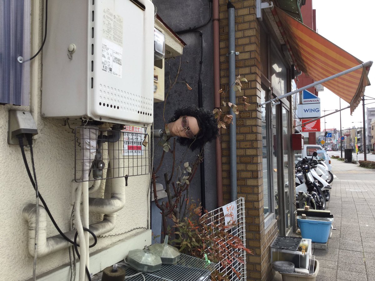 圖片來源：omott_／twitter