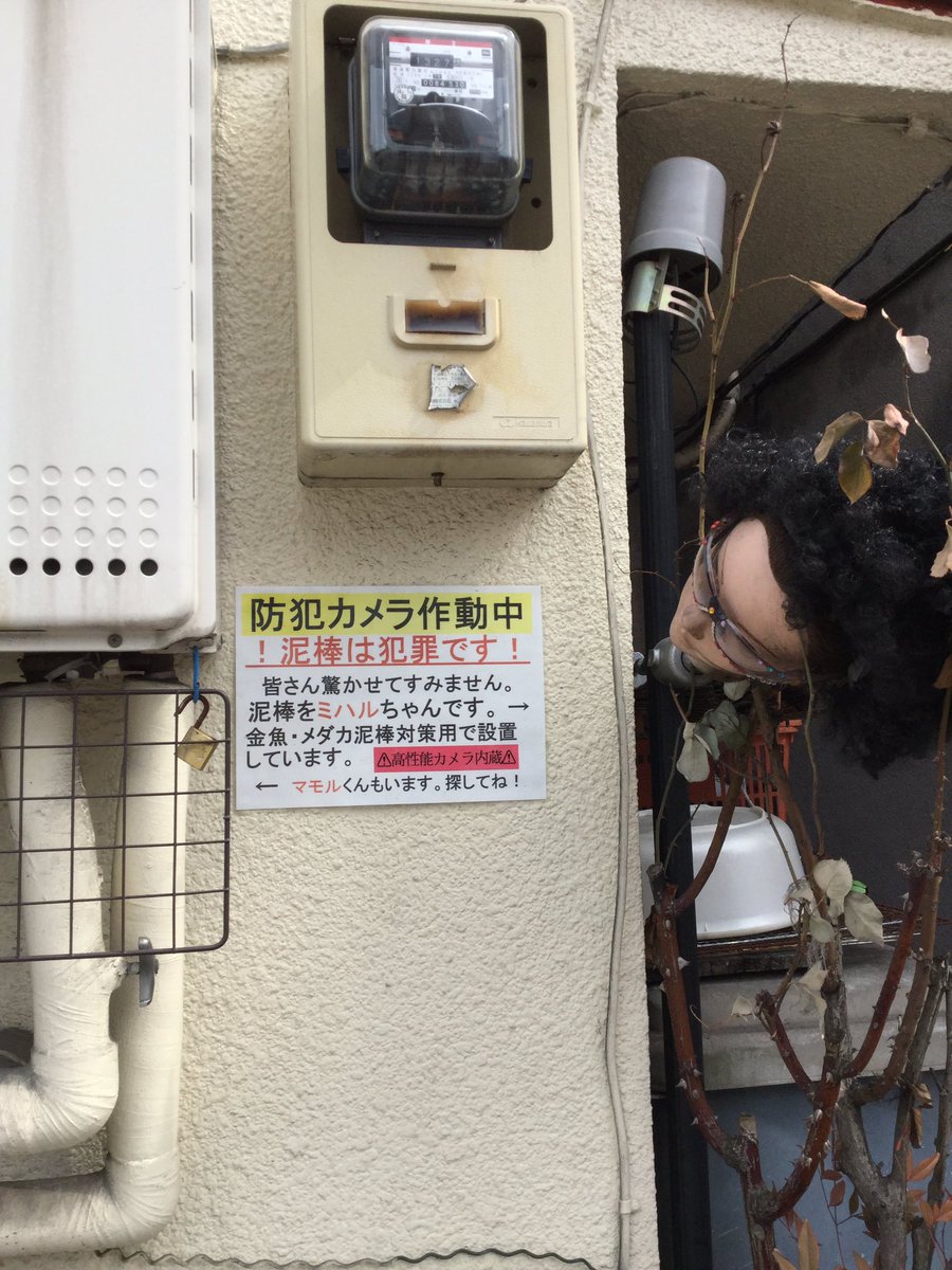 圖片來源：omott_／twitter