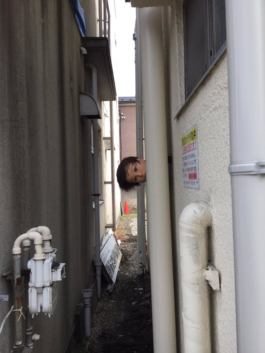 圖片來源：omott_／twitter