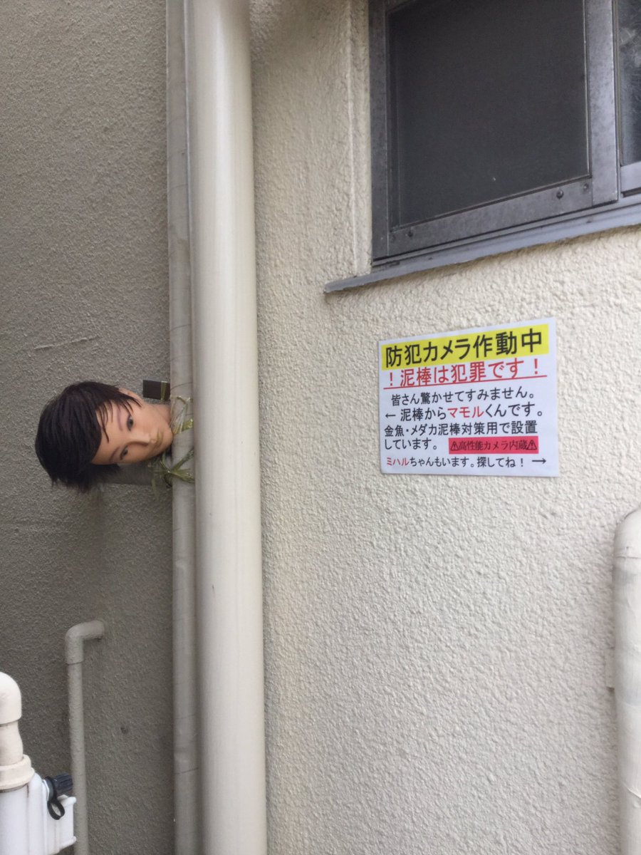 圖片來源：omott_／twitter