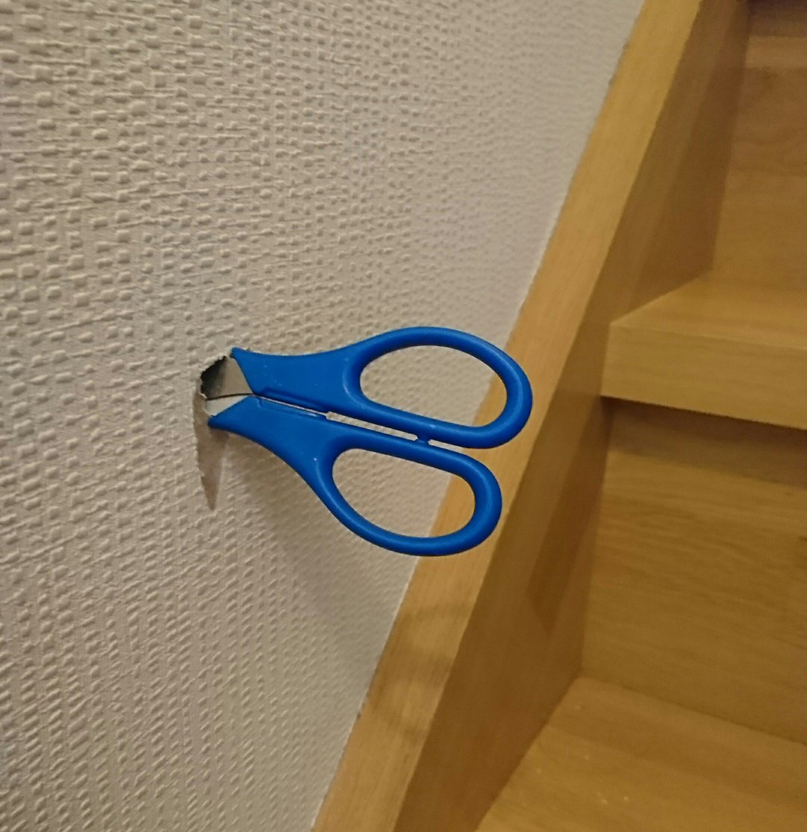 圖片來源:jHBdMyw6TgkEwDX/twitter