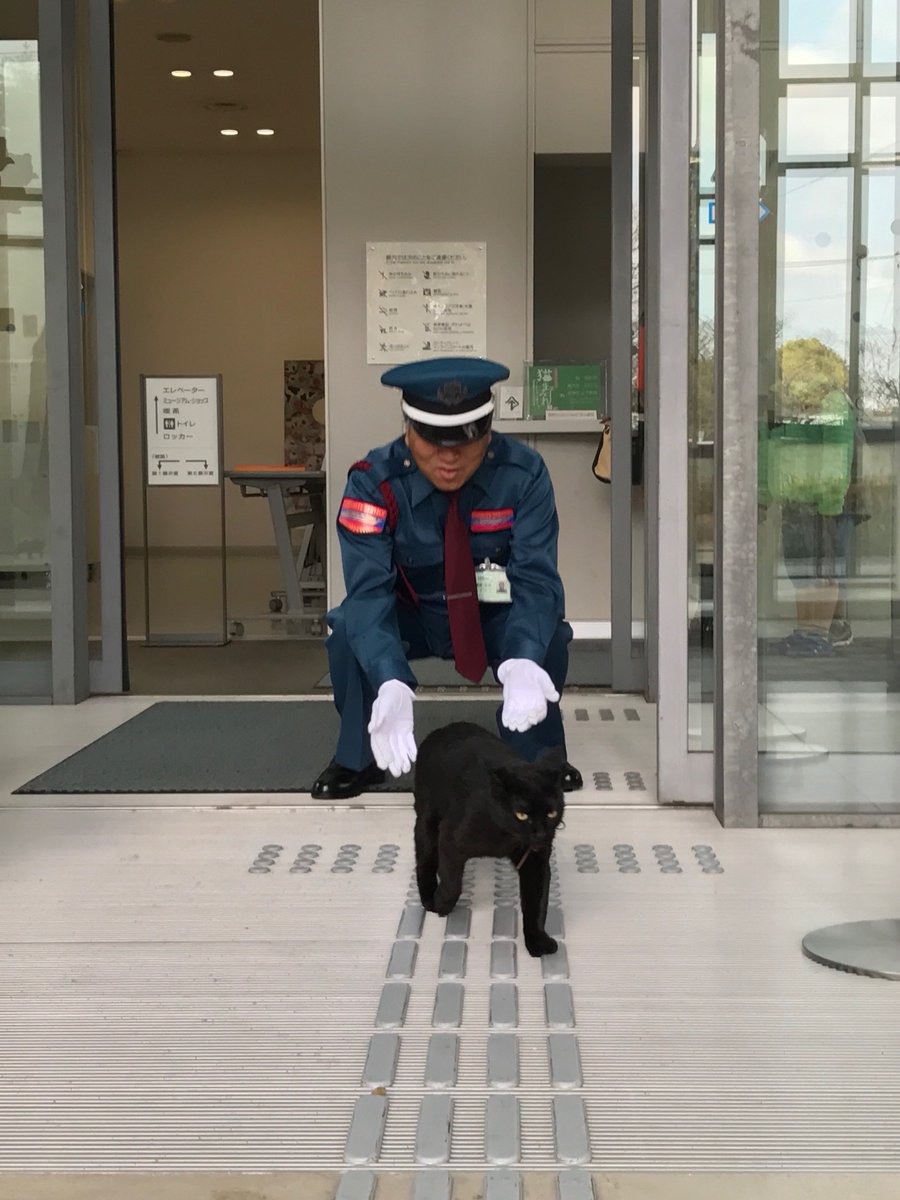 圖片來源:尾道市立美術館/twitter