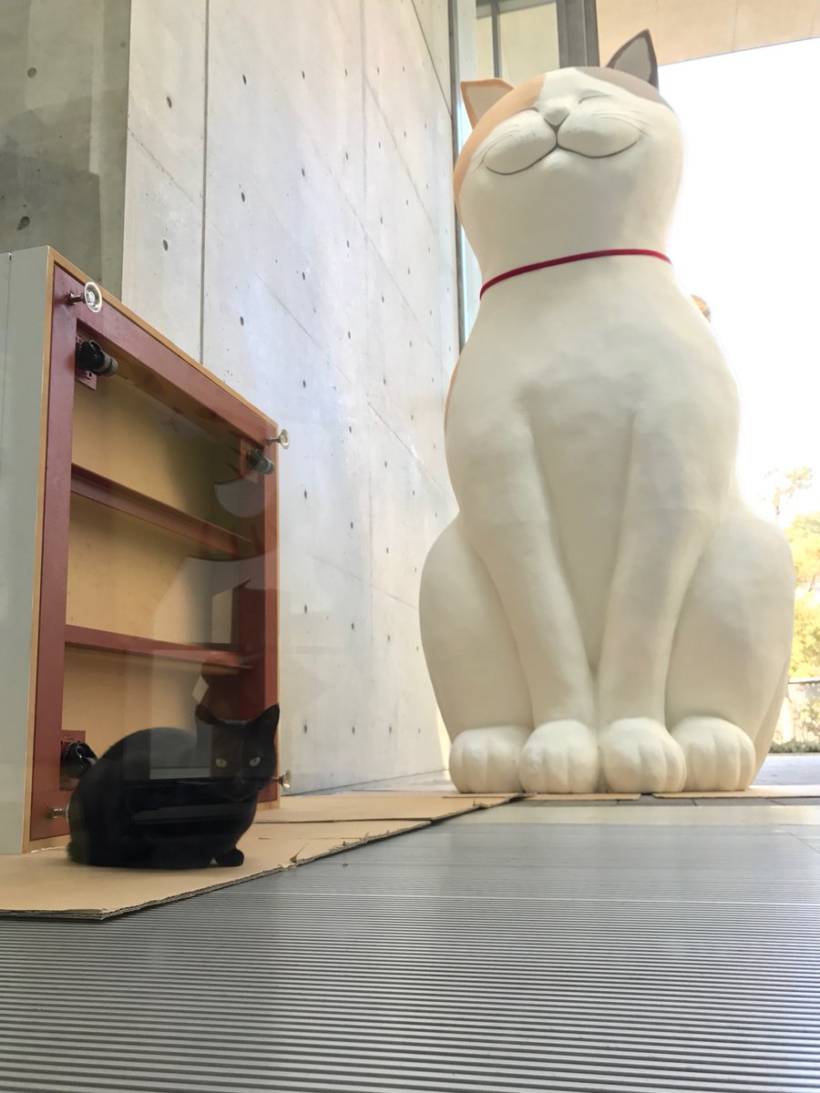 圖片來源:尾道市立美術館/twitter