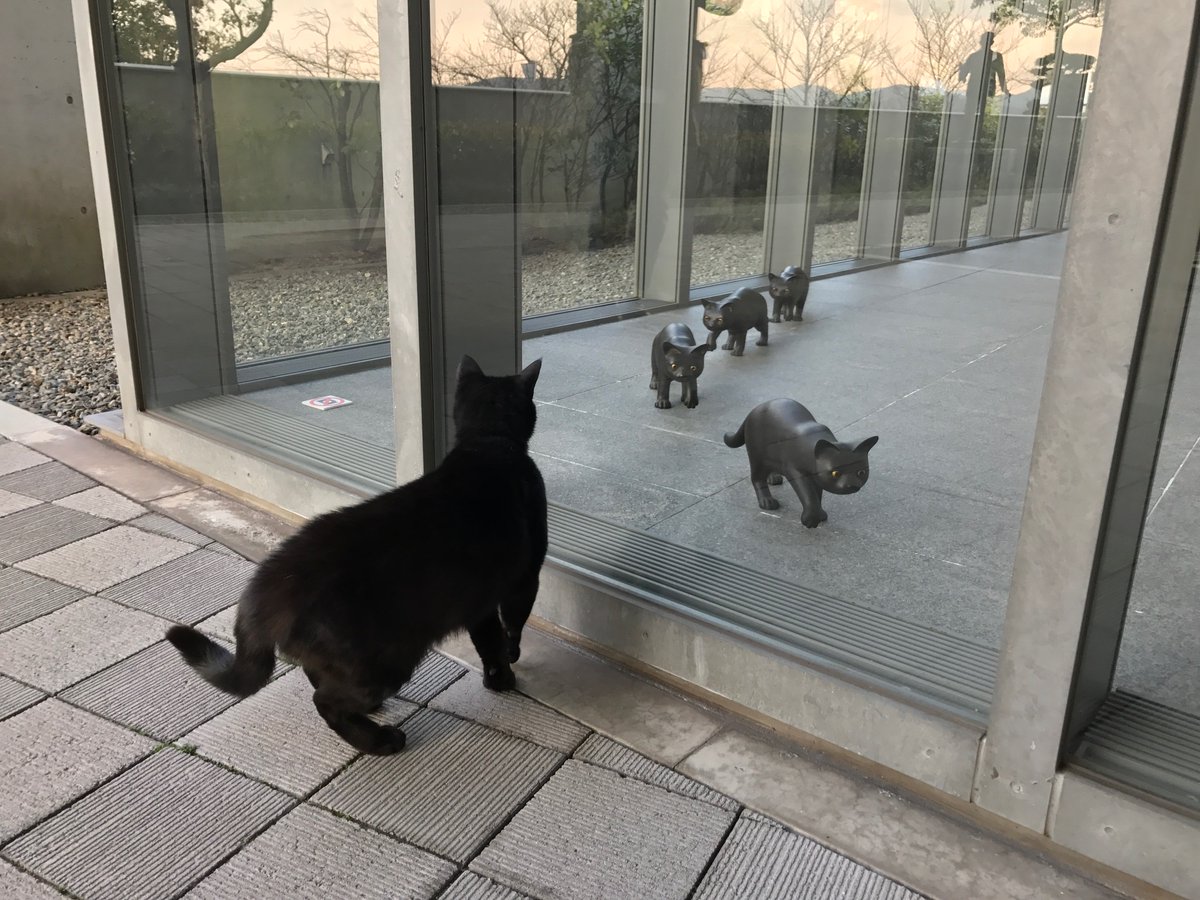 圖片來源:尾道市立美術館/twitter