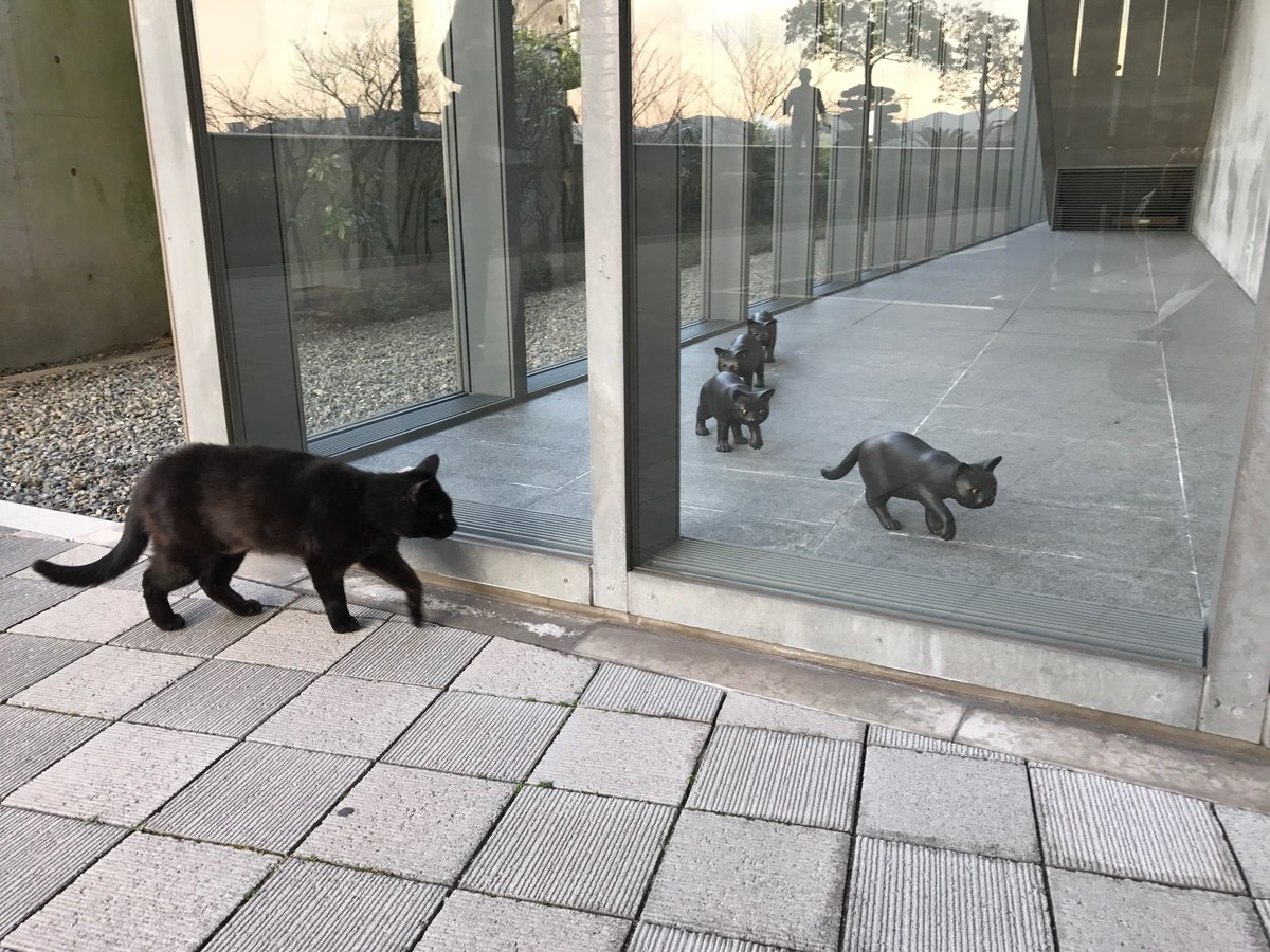 圖片來源:尾道市立美術館/twitter